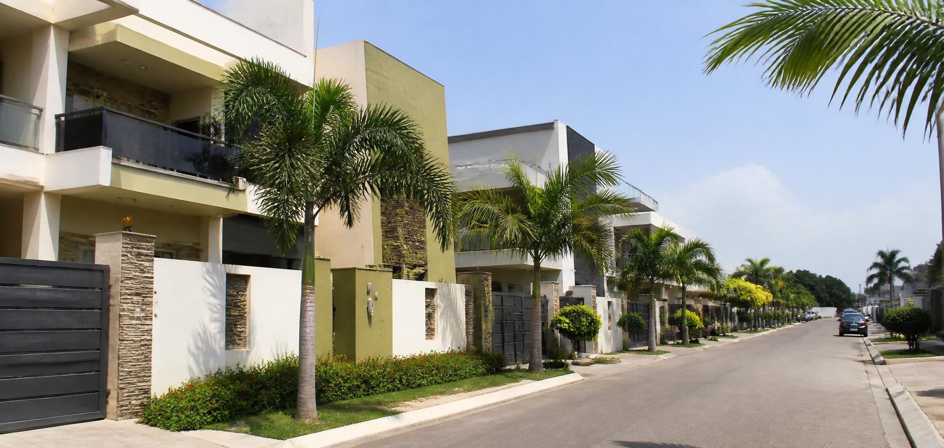 Rue résidentielle bordée de villas contemporaines et de palmiers.
